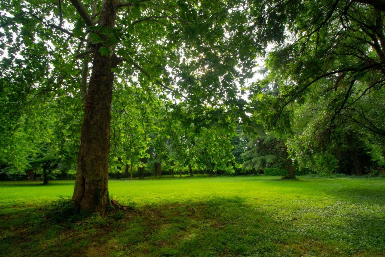 B & B Villa Dell'Usignolo Nerviano Bagian luar foto
